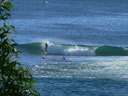 Waterfront Homes Shellharbour