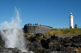Absolute Beachfront Property