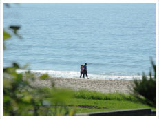 Illawarra Properties For Sale