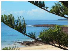 Beachfront Properties Wollongong