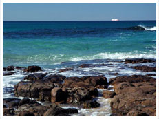 Beachfront Properties Wollongong