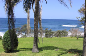 Absolute Beachfront Real Estate